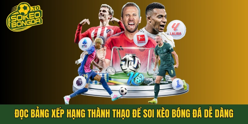 Đọc bảng xếp hạng thành thạo để soi kèo bóng đá dễ dàng