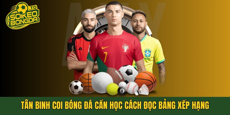 Tân binh coi bóng đá cần học cách đọc bảng xếp hạng