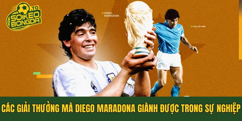 Các Giải Thưởng Mà Diego Maradona Giành Được Trong Sự Nghiệp