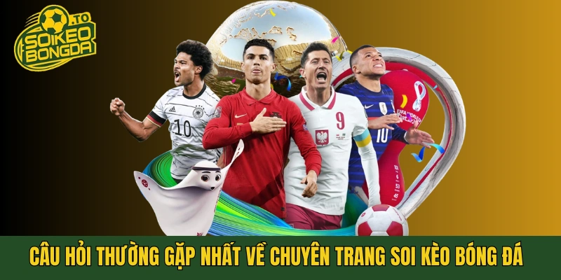 Giải đáp câu hỏi thường gặp nhất về chuyên trang soi kèo bóng đá