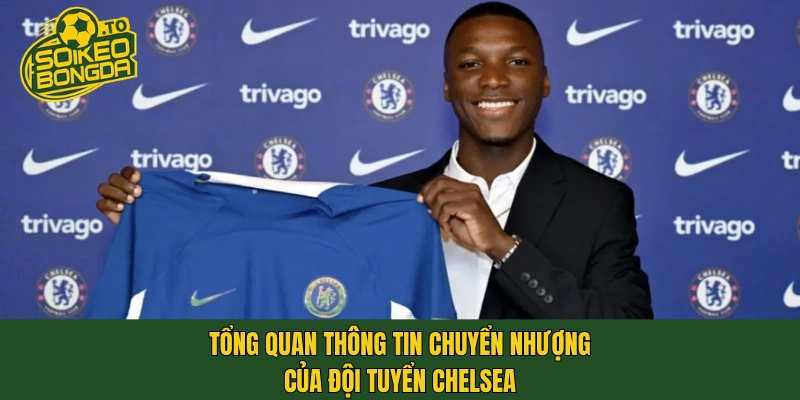 Tổng quan thông tin chuyển nhượng của đội tuyển Chelsea
