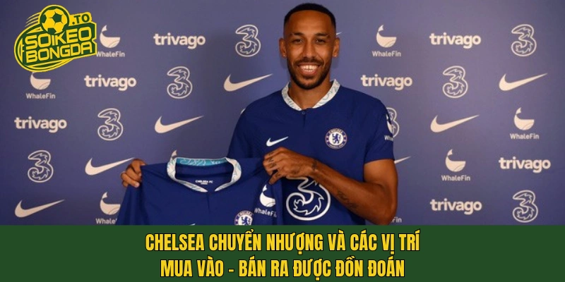 Chelsea chuyển nhượng và các vị trí mua vào - bán ra được đồn đoán