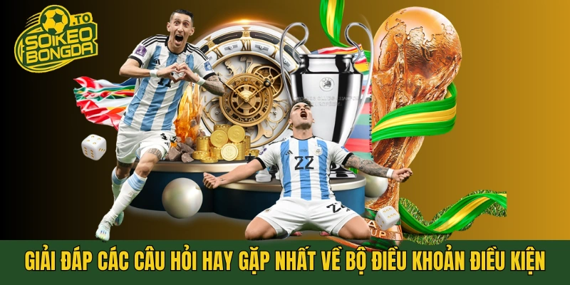 Giải đáp các câu hỏi hay gặp nhất về bộ điều khoản điều kiện