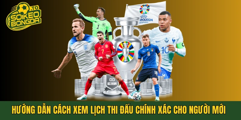 Hướng dẫn cách xem lịch thi đấu chính xác cho người mới