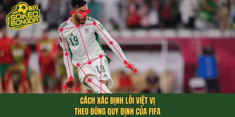 Cách xác định lỗi việt vị theo đúng quy định của FIFA