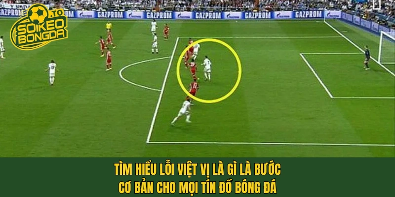 Tìm hiểu lỗi việt vị là gì là bước cơ bản cho mọi tín đồ bóng đá