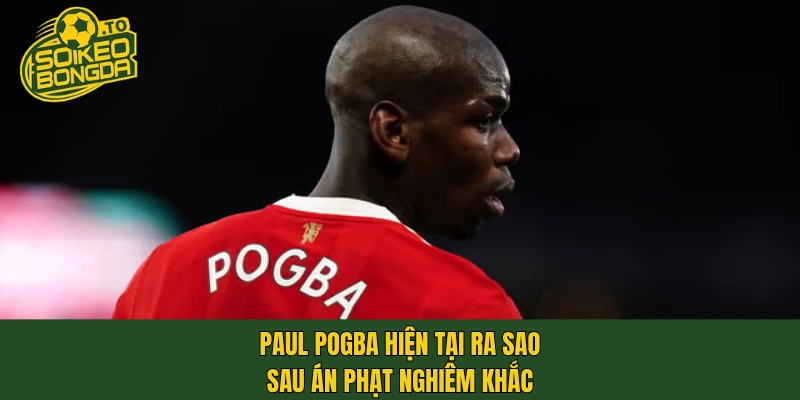 Paul Pogba hiện tại ra sao sau án phạt nghiêm khắc