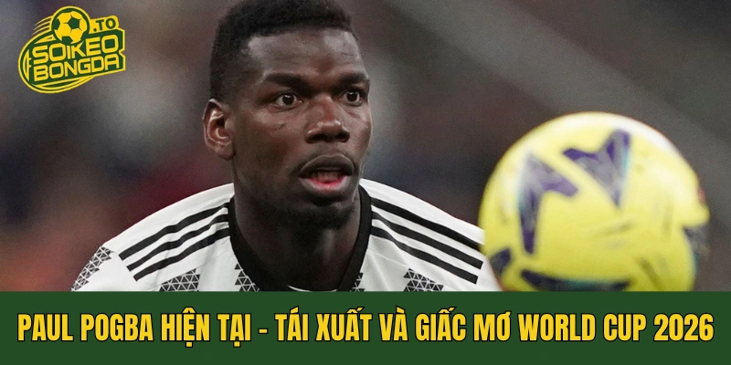 Paul Pogba Hiện Tại - Tái Xuất Và Giấc Mơ World Cup 2026