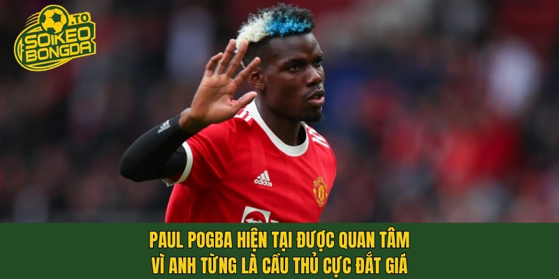 Paul Pogba hiện tại được quan tâm vì anh từng là cầu thủ cực đắt giá