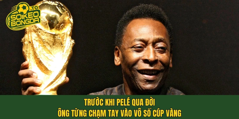 Trước khi Pelé qua đời, ông từng chạm tay vào vô số cúp vàng