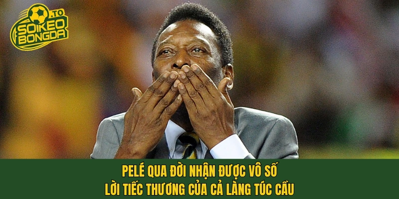 Pelé qua đời nhận được vô số lời tiếc thương của cả làng túc cầu