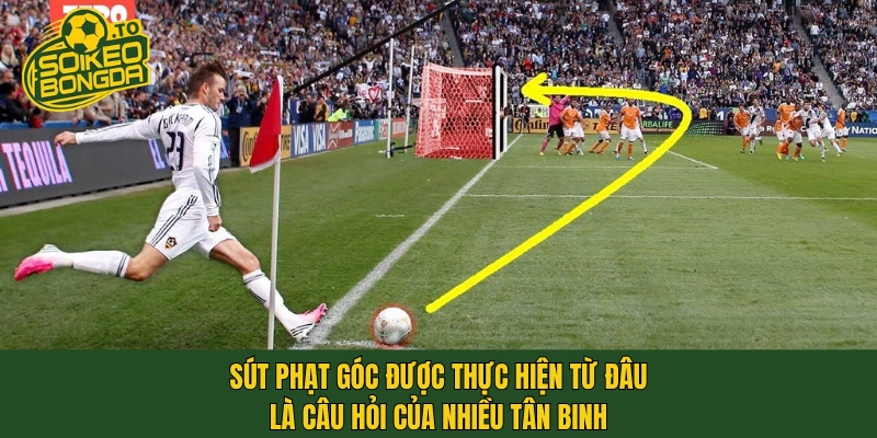 Sút phạt góc được thực hiện từ đâu là câu hỏi của nhiều tân binh
